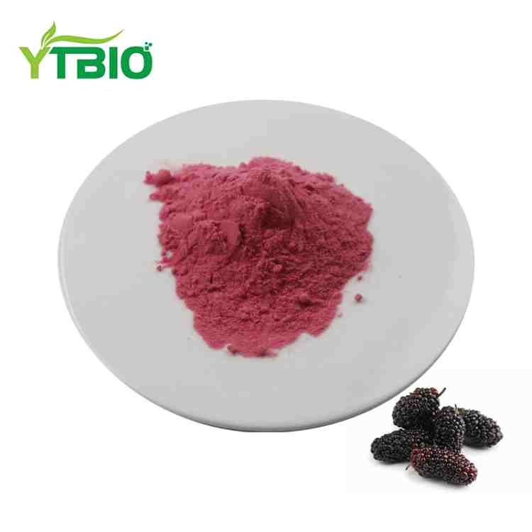 Mulberry Juice SD Powder